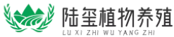 ZXTZLC网上种植分享(义乌市陆玺)