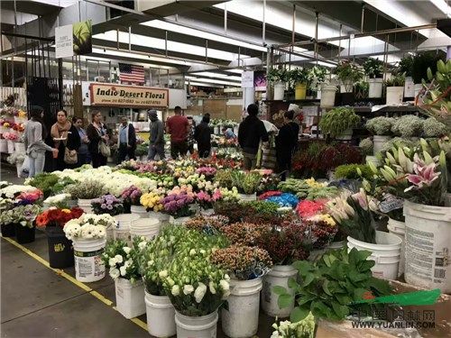 美国花卉超市（美国鲜花市场的发展现状）